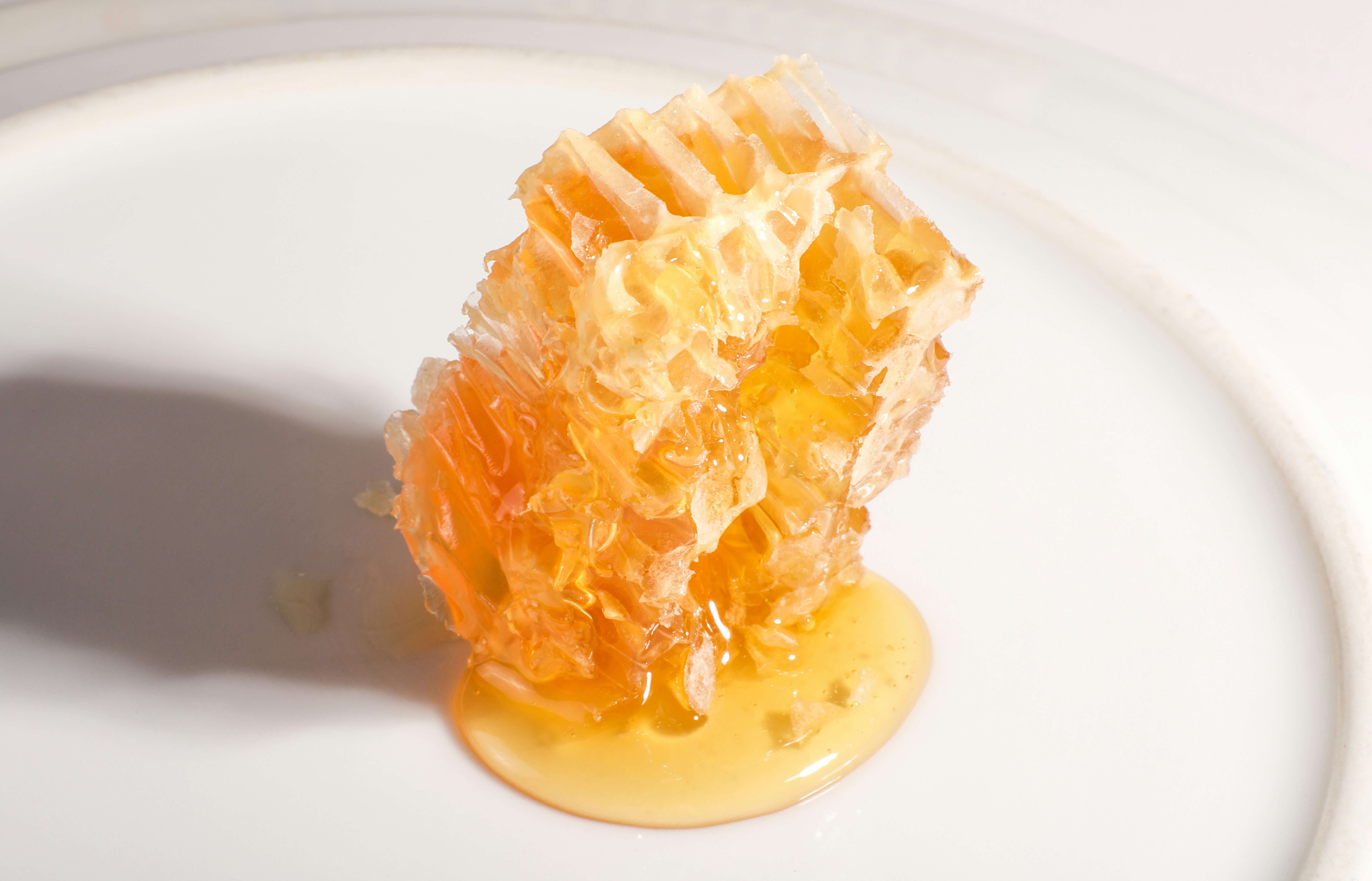 Cut Comb Honey