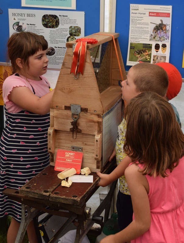 The observation hive