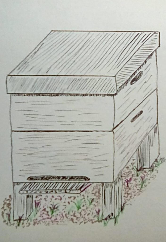 Commercial Hive