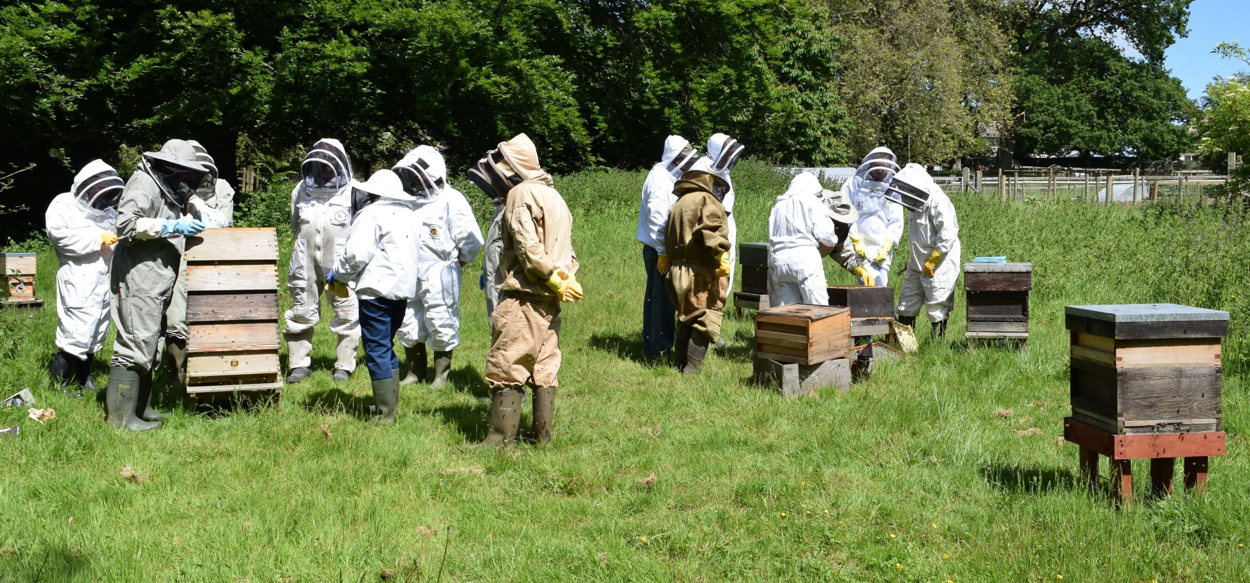 Beginners on the left, others on the right