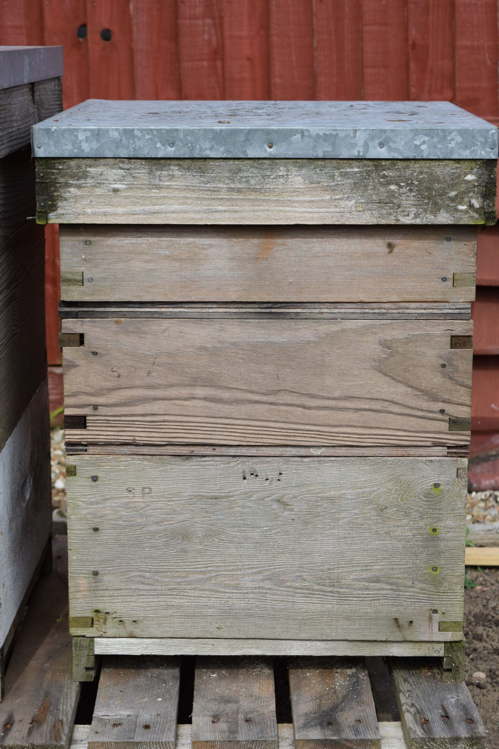A national hive running on a single brood box.