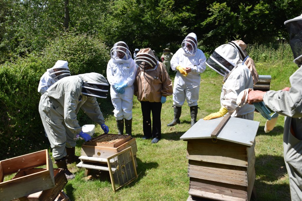 We watch as Kevin opens the hive.